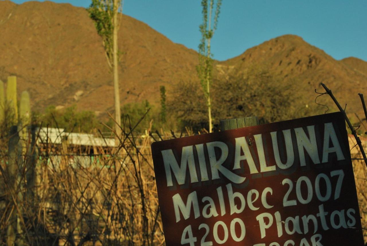 Miraluna Bodega Boutique กาชิ ภายนอก รูปภาพ